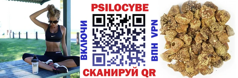купить наркоту mega ТОР Галлюциногенные грибы мицелий Петропавловск-Камчатский